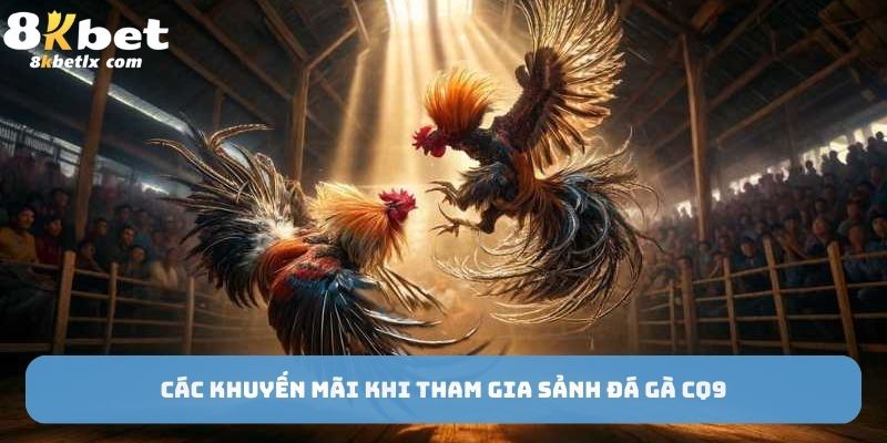 Các khuyến mãi khi tham gia sảnh đá gà CQ9